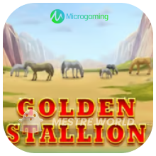 Microgaming146